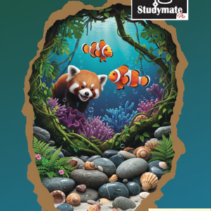 A4 NoteBook (PRO) (400P)