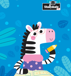 Copy (Studymate PRO) (112P)